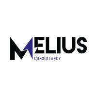 Melius Consultancy logo - Similar company to Asher Center For Innovation & Entrepreneurship - Acie