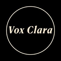 Vox Clara logo - Similar company to Vox Clara Group