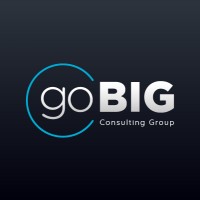 goBIG Consulting Group logo - Similar company to Gobig Digital Ltd