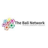 The Bali Network logo - Similar company to Bali Visual Creations