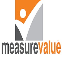 Measure Value (Pty) Ltd logo - Similar company to Kopanya