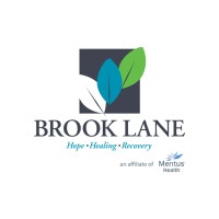 Brook Lane logo - Similar company to The Chrysalis Group