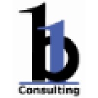 B1 Consulting bv logo - Similar company to Dls Group
