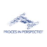 Process In Perspective