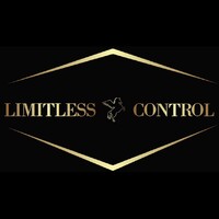 Limitless Control logo - Similar company to Press Security Services