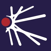 Lynchpin logo - Similar company to Keet Technology Solutions Ltd