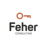 Feher Consulting logo - Similar company to Ccsoft