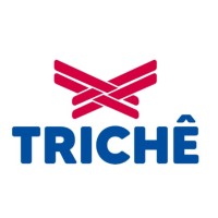 Linhas Trichê logo - Similar company to Mrlog