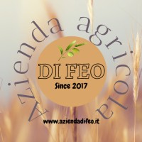 Azienda Agricola Di Feo logo - Similar company to Falezze - Luca Anselmi