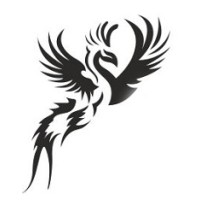 ANKAMAT YAYINLARI logo - Similar company to Kaynak Yayınları