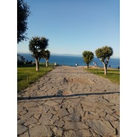 Maimmo logo - Similar company to Maimmo Conseil