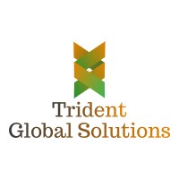 Trident Global Solutions logo - Similar company to Nestrait