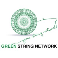 Green String Network logo - Similar company to Forum For African Women Educationalists - Kenya Chapter