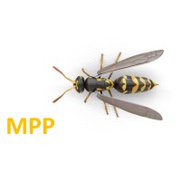 Municipal Peak Performance logo - Similar company to Specimen Bio