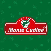 Monte Cudine logo - Similar company to Algorta S.A.