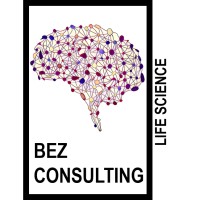 Bez Consulting AB logo - Similar company to Kays 3D