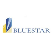 Bluestar Real Estate logo - Similar company to Securedsys
