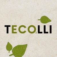 Tecolli Carbon Cluster logo - Similar company to Servicios Integrales En Medio Ambiente (Simeam)
