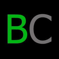 Blockchain Consulting Ltd logo - Similar company to Blockchain Development Foundation