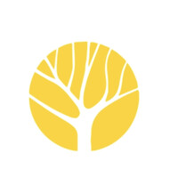 Lincoln Advisory Limited logo - Similar company to Qloudy Ai