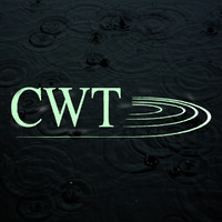 CWT, LLC logo - Similar company to Pudle Gear