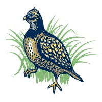 Quail Tools logo - Similar company to Workstrings International
