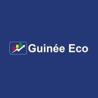 Guinée Eco logo - Similar company to B&M Tool