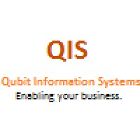 Qubit Information Systems