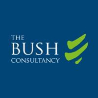 THE BUSH CONSULTANCY