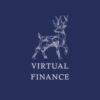 Virtual Finance logo - Similar company to Vifi Labs