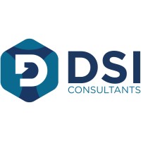 DSI Consultants logo - Similar company to Dsi Consultancy Ltd