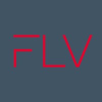 Frías Lagos & Villablanca logo - Similar company to Geoeka