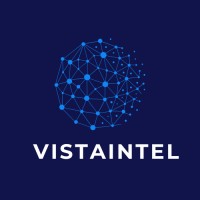 VistaIntel logo - Similar company to Datascope Analytics
