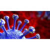 Iq logo - Similar company to Ataia Medical