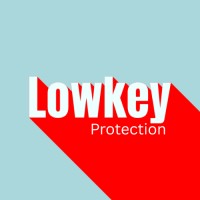 Lowkey Protection logo - Similar company to Stimuleight