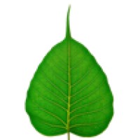 Pipal Limited logo - Similar company to Metal And Plastic Solutions