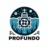Profundo Team logo - Similar company to Coding4Up