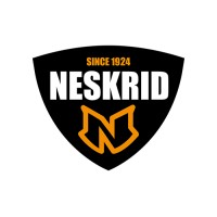Neskrid 4Allfeet logo - Similar company to Goteam Aps