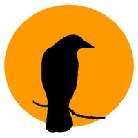 CORVINUS TRAVEL logo - Similar company to 360° Travel Trends