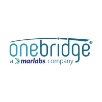 Onebridge logo - Similar company to Theoris