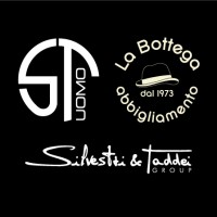 Modena 217 S.r.l. / Silvestri&Taddei Group logo - Similar company to Momo School