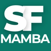 Salesforce Mamba logo - Similar company to Cypress Learning Solutions