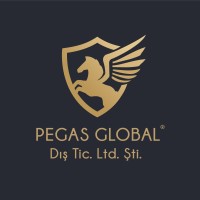 Pegas Global Corporate Group logo - Similar company to Pegas Grup
