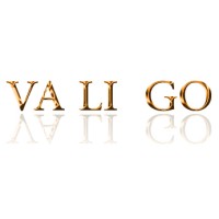 VALIGO Algérie Valise logo - Similar company to Alliance Distribution