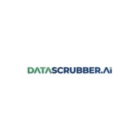 DataScrubber.AI logo - Similar company to Florida'S Tech Support