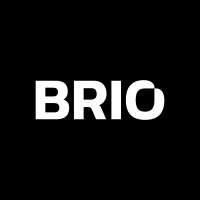 Brio Studio logo - Similar company to Imagin Studios Llc