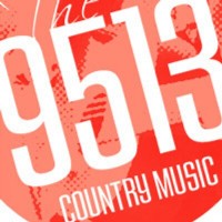The 9513