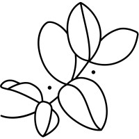 Simply Yerba logo - Similar company to Sitemax Systems Inc.