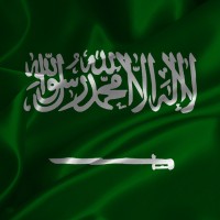 Arabie Saoudite 🇸🇦 logo - Similar company to Excellence Skill Development Institute