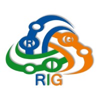 ROYAL INFOTECH GROUP logo - Similar company to Royal Infotech Solution
